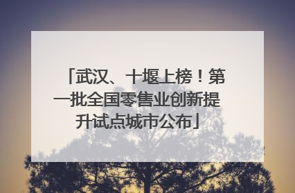 武汉、十堰上榜！第一批全国零售业创新提升试点城市公布