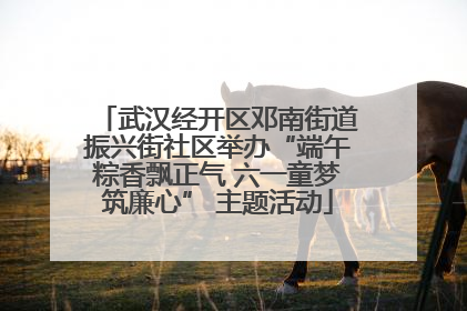 武汉经开区邓南街道振兴街社区举办“端午粽香飘正气 六一童梦筑廉心” 主题活动