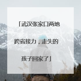 武汉张家口两地跨省接力，走失的孩子回家了