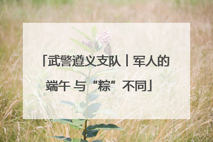 武警遵义支队︱军人的端午 与“粽”不同