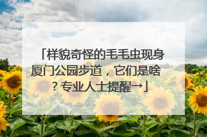 样貌奇怪的毛毛虫现身厦门公园步道，它们是啥？专业人士提醒→