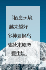 栖息环境越来越好 多种夏候鸟陆续来厦恋爱生娃