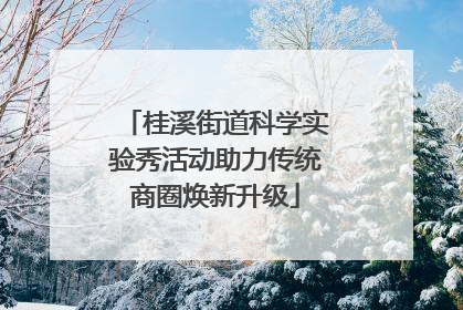 桂溪街道科学实验秀活动助力传统商圈焕新升级