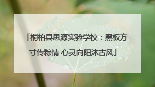 桐柏县思源实验学校：黑板方寸传粽情 心灵向阳沐古风