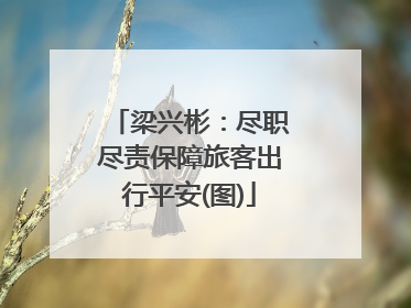 梁兴彬：尽职尽责保障旅客出行平安(图)