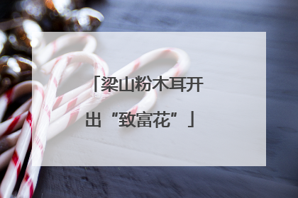 梁山粉木耳开出“致富花”