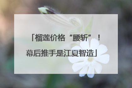 榴莲价格“腰斩”！幕后推手是江夏智造