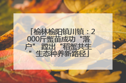 榆林榆阳镇川镇：2000斤蟹苗成功“落户” 蹚出“稻蟹共生”生态种养新路径