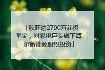 欣旺达2700万参投基金，对家电巨头旗下海尔新能源股权投资