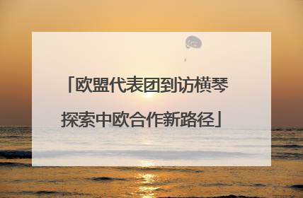 欧盟代表团到访横琴 探索中欧合作新路径