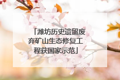 潍坊历史遗留废弃矿山生态修复工程获国家示范