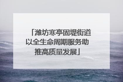 潍坊寒亭固堤街道以全生命周期服务助推高质量发展