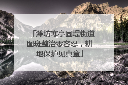 潍坊寒亭固堤街道图斑整治零容忍，耕地保护见真章