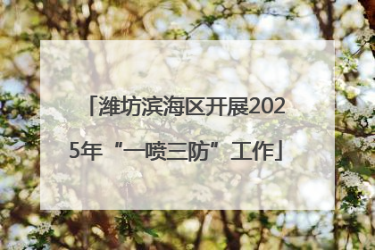 潍坊滨海区开展2025年“一喷三防”工作
