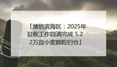 潍坊滨海区：2025年夏收工作圆满完成 5.22万亩小麦颗粒归仓
