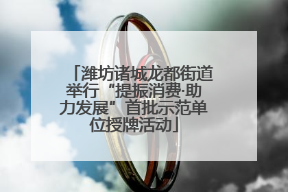 潍坊诸城龙都街道举行“提振消费·助力发展”首批示范单位授牌活动