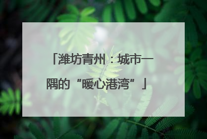 潍坊青州：城市一隅的“暖心港湾”