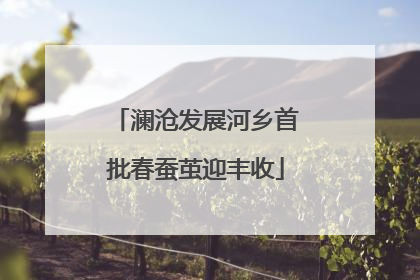 澜沧发展河乡首批春蚕茧迎丰收