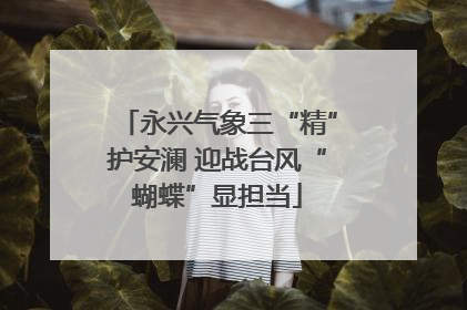 永兴气象三“精”护安澜 迎战台风“蝴蝶”显担当