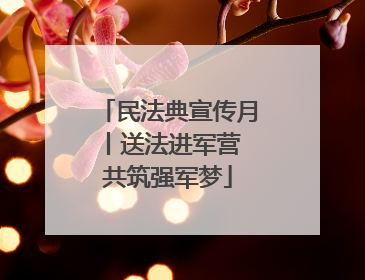 民法典宣传月丨送法进军营 共筑强军梦