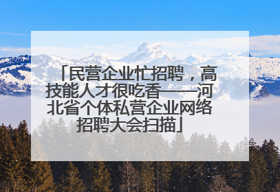 民营企业忙招聘，高技能人才很吃香——河北省个体私营企业网络招聘大会扫描