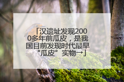 汉遗址发现2000多年前瓜皮，是我国目前发现时代最早“瓜皮”实物→