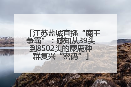 江苏盐城直播“鹿王争霸”：感知从39头到8502头的麋鹿种群复兴“密码”