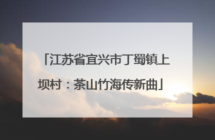 江苏省宜兴市丁蜀镇上坝村：茶山竹海传新曲