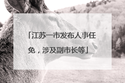 江苏一市发布人事任免，涉及副市长等
