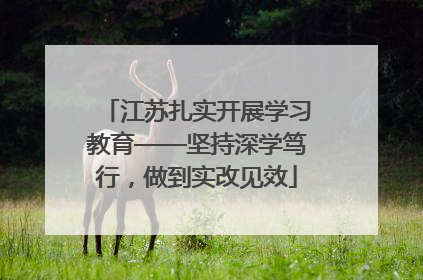 江苏扎实开展学习教育——坚持深学笃行，做到实改见效