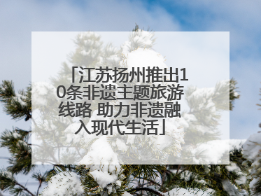 江苏扬州推出10条非遗主题旅游线路 助力非遗融入现代生活