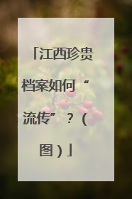 江西珍贵档案如何“流传”？（图）