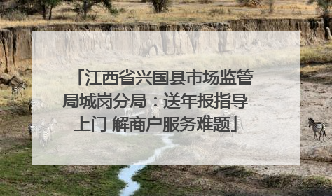 江西省兴国县市场监管局城岗分局：送年报指导上门 解商户服务难题
