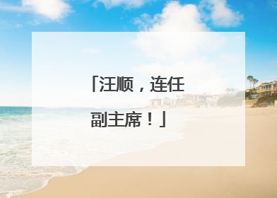 汪顺，连任副主席！
