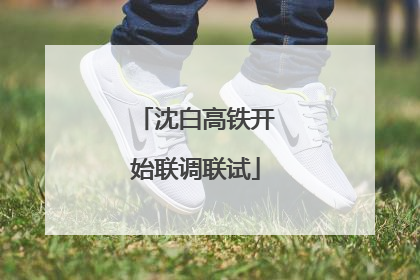 沈白高铁开始联调联试