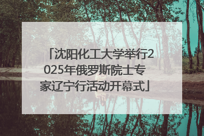 沈阳化工大学举行2025年俄罗斯院士专家辽宁行活动开幕式