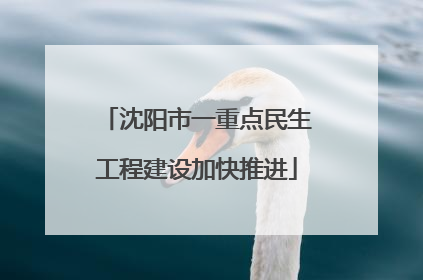 沈阳市一重点民生工程建设加快推进