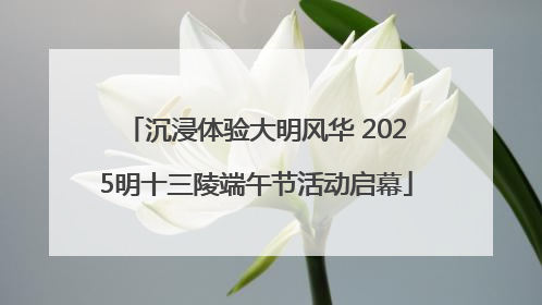 沉浸体验大明风华 2025明十三陵端午节活动启幕
