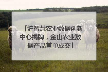 沪智慧农业数据创新中心揭牌，金山农业数据产品首单成交