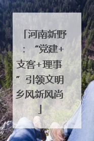 河南新野：“党建+支客+理事”引领文明乡风新风尚