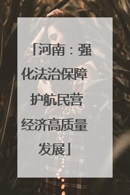 河南：强化法治保障 护航民营经济高质量发展