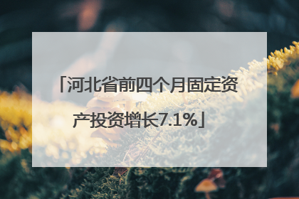 河北省前四个月固定资产投资增长7.1%