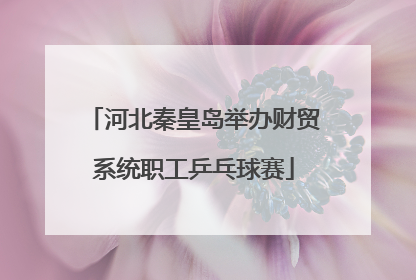 河北秦皇岛举办财贸系统职工乒乓球赛