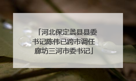 河北保定蠡县县委书记陈伟已跨市调任廊坊三河市委书记