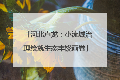 河北卢龙：小流域治理绘就生态丰饶画卷