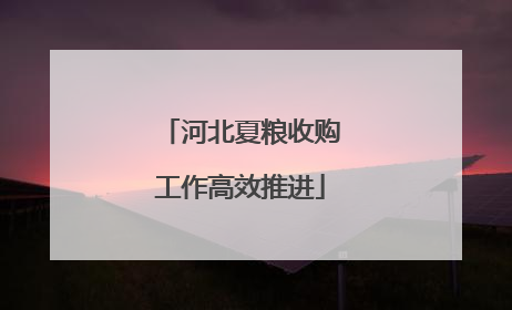 河北夏粮收购工作高效推进