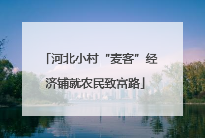 河北小村“麦客”经济铺就农民致富路
