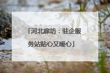 河北廊坊：驻企服务站贴心又暖心
