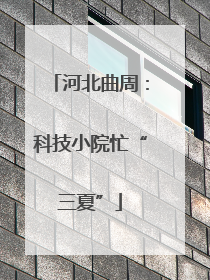 河北曲周：科技小院忙“三夏”