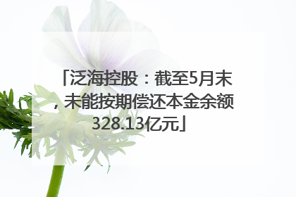 泛海控股：截至5月末，未能按期偿还本金余额328.13亿元
